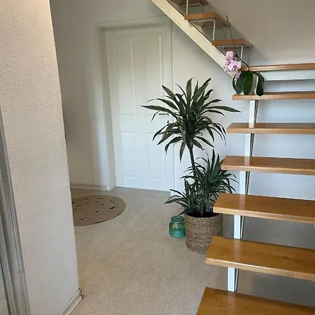 アパート Vera's House Castle View